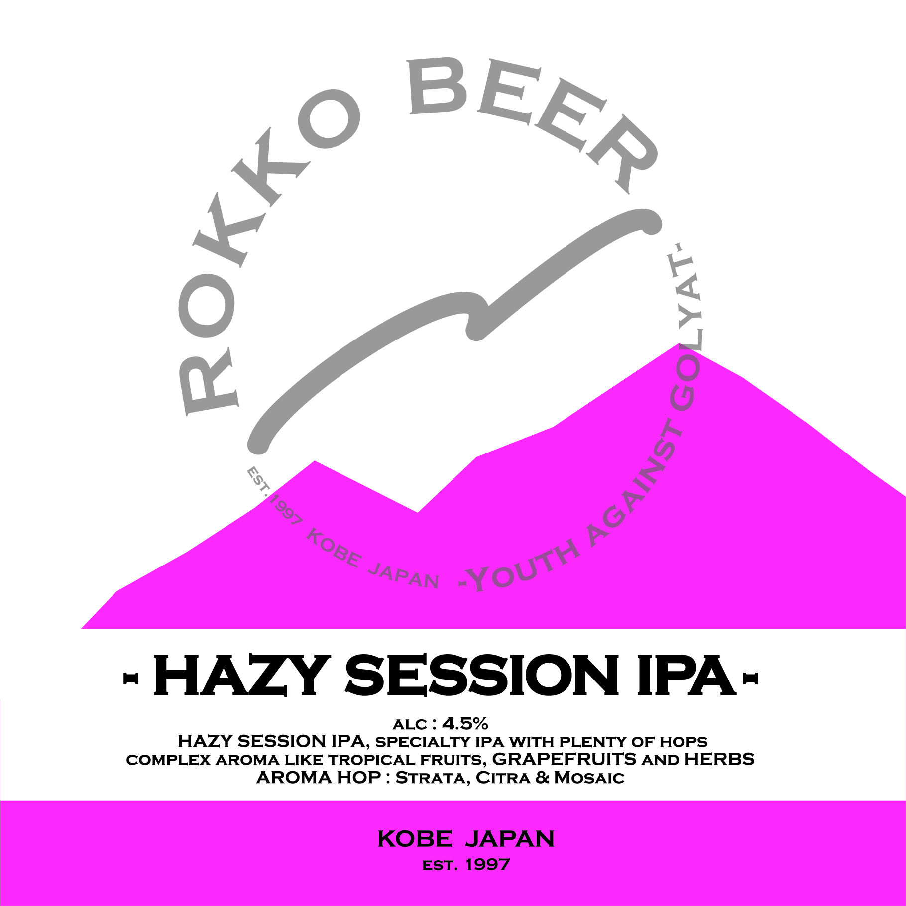 HAZY SESSION IPA